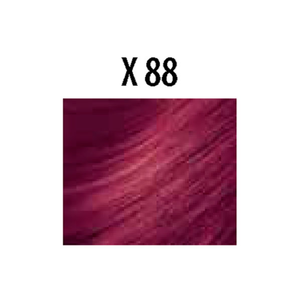 x88